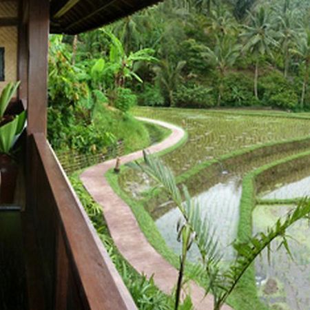 Bali Eco Stay מראה חיצוני תמונה
