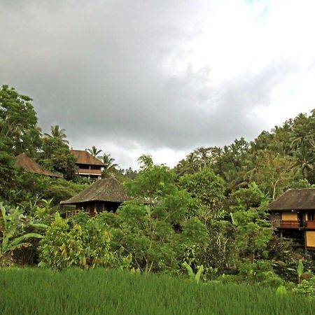 Bali Eco Stay מראה חיצוני תמונה