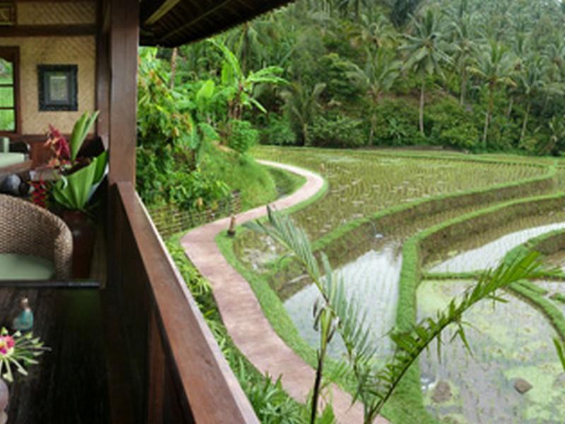 Bali Eco Stay מראה חיצוני תמונה