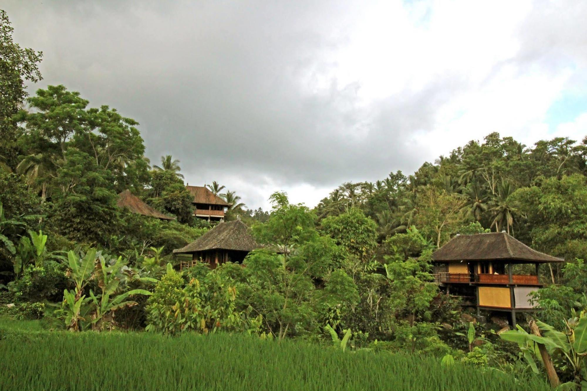 Bali Eco Stay מראה חיצוני תמונה